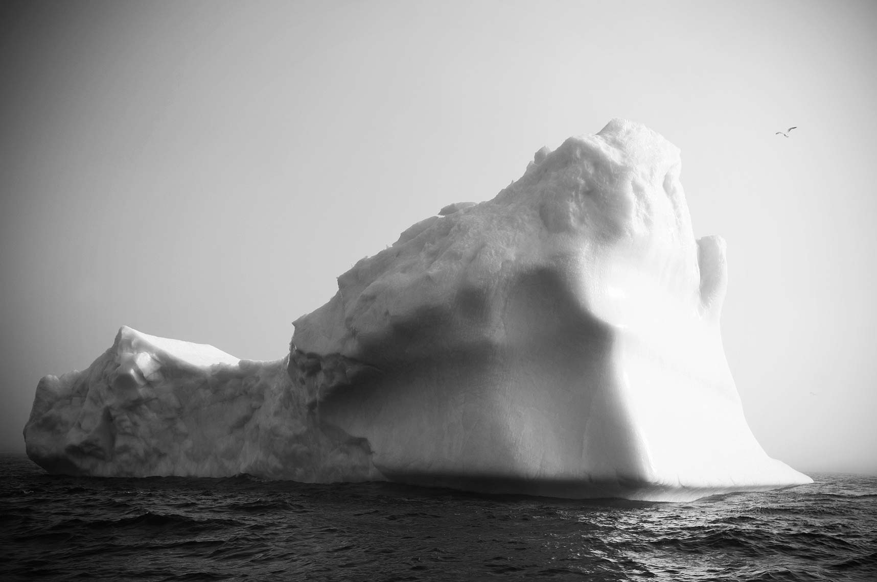 iceberg Newfoundland